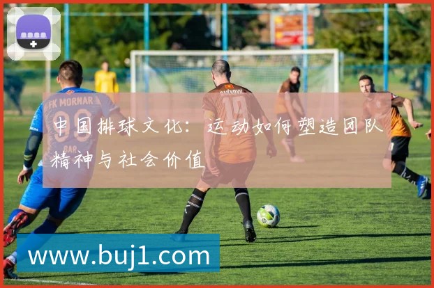 中国排球文化：运动如何塑造团队精神与社会价值