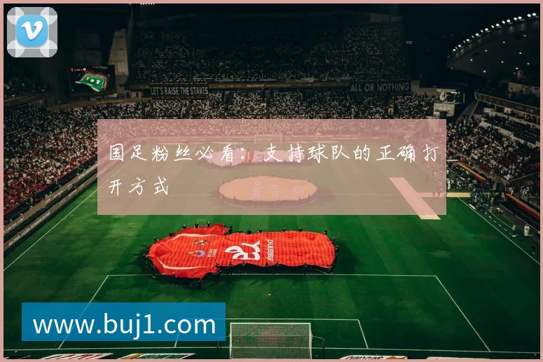 国足粉丝必看：支持球队的正确打开方式