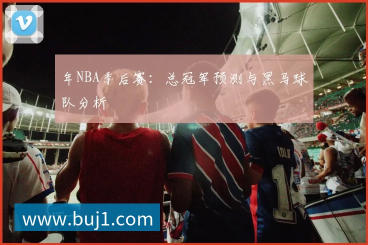年NBA季后赛：总冠军预测与黑马球队分析