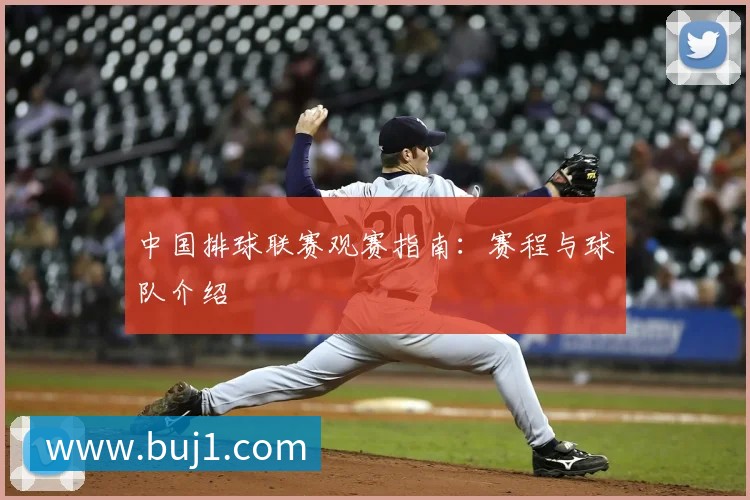 中国排球联赛观赛指南：赛程与球队介绍