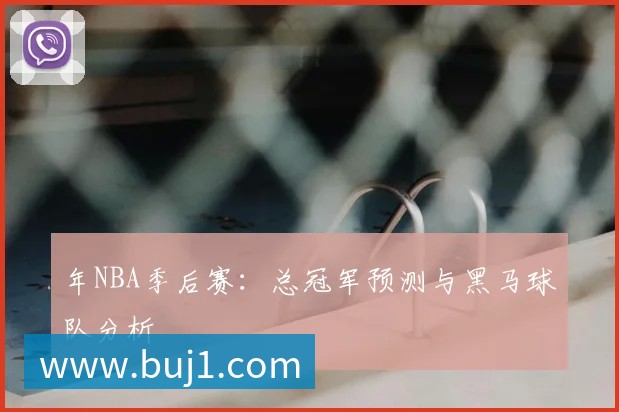年NBA季后赛：总冠军预测与黑马球队分析